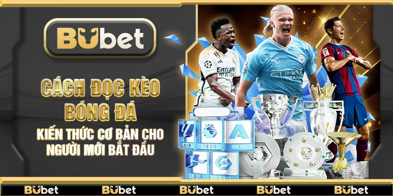 Cách đọc kèo bóng đá – Kiến thức cơ bản cho người mới bắt đầu