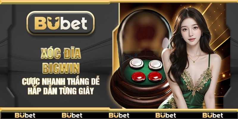 Xóc đĩa Bigwin Bubet – Cược nhanh thắng dễ hấp dẫn từng giây