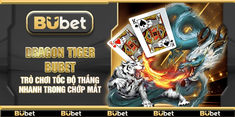 Dragon Tiger Bubet – Trò chơi tốc độ thắng nhanh trong chớp mắt