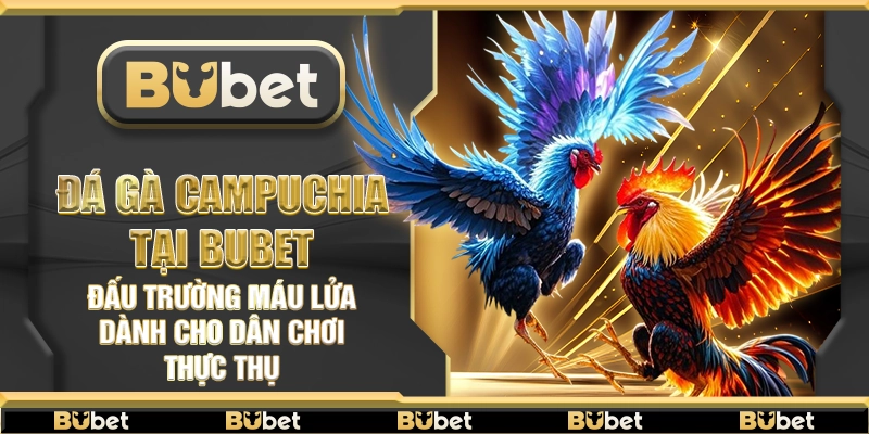 Đá gà Campuchia tại Bubet – Đấu trường máu lửa dành cho dân chơi thực thụ