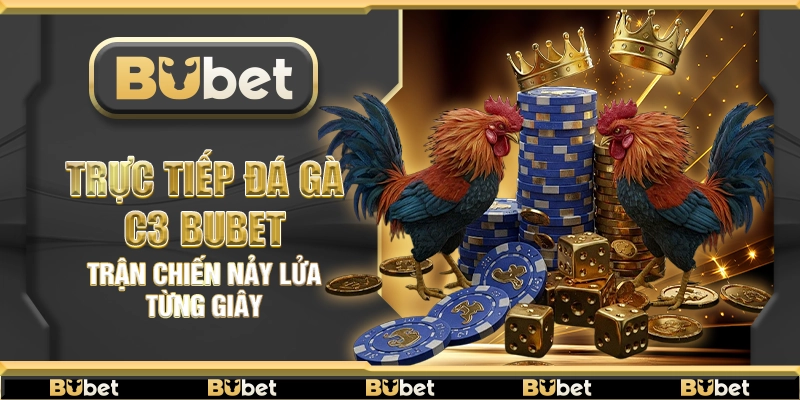 Trực tiếp đá gà c3 Bubet – Trận chiến nảy lửa từng giây