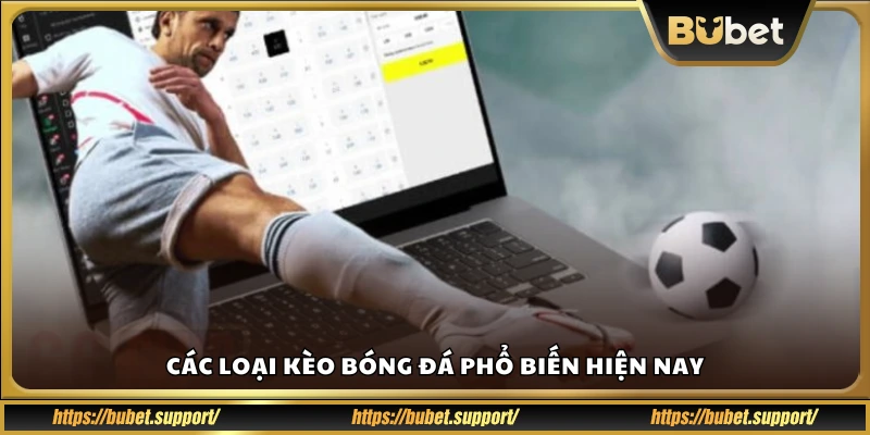 Những kiểu kèo cá độ bóng đá bạn cần biết