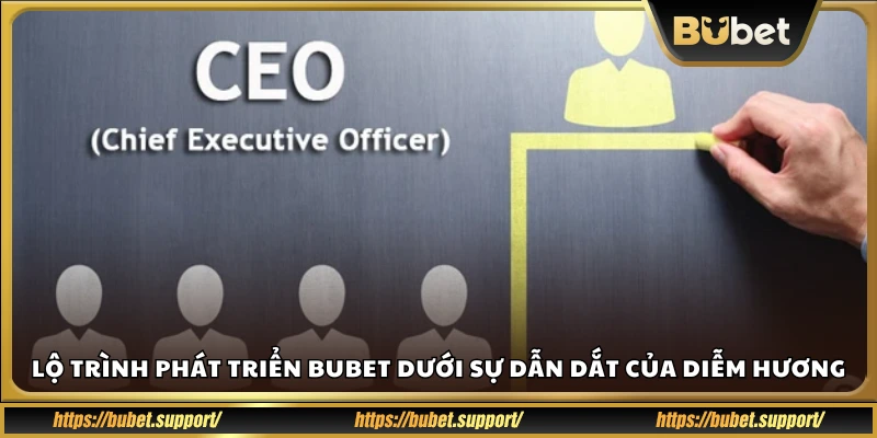 Chiến lược mở rộng Bubet do Diễm Hương hoạch định