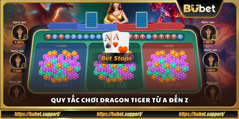 Hướng dẫn luật chơi dragon tiger chi tiết