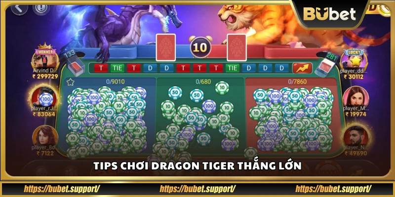 Chiến lược đặt cược Dragon Tiger hiệu quả