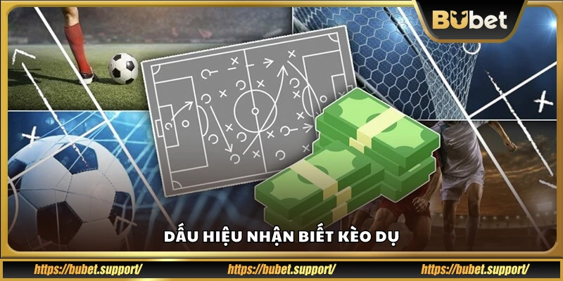 Cách phân biệt và nhận diện kèo dụ bóng đá