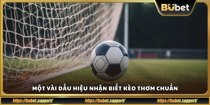 Cách nhận biết kèo bóng đá có giá trị cao