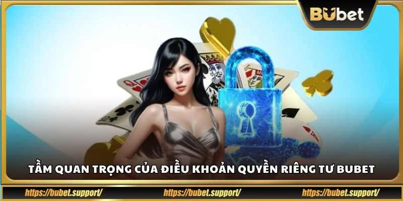 Vì sao chính sách quyền riêng tư lại quan trọng với người chơi?