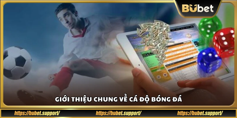 Tổng quan về hình thức cá cược bóng đá