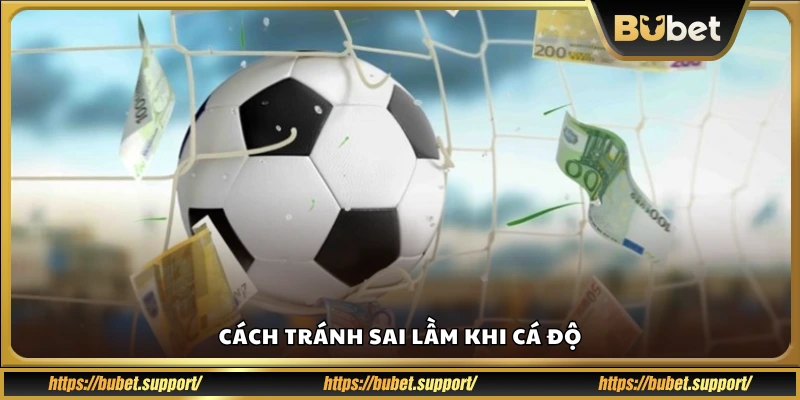 Mẹo hạn chế rủi ro và sai lầm khi cá độ bóng đá