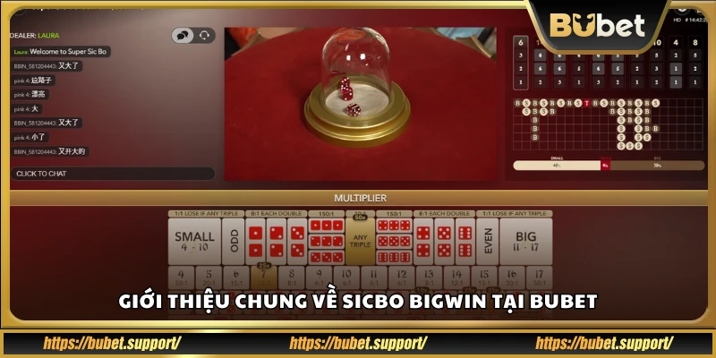 Giới thiệu chung về Sicbo Bigwin tại Bubet