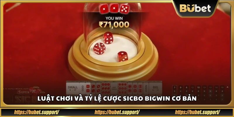 Luật chơi và bảng tỷ lệ cược trong Sicbo Bubet