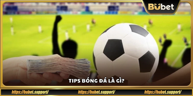 Khái niệm tips bóng đá dành cho người mới