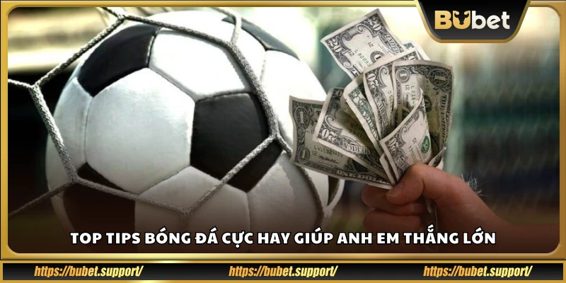 Những tips cá độ bóng đá hiệu quả nhất