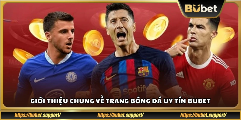 Tổng quan về website cá độ bóng đá Bubet