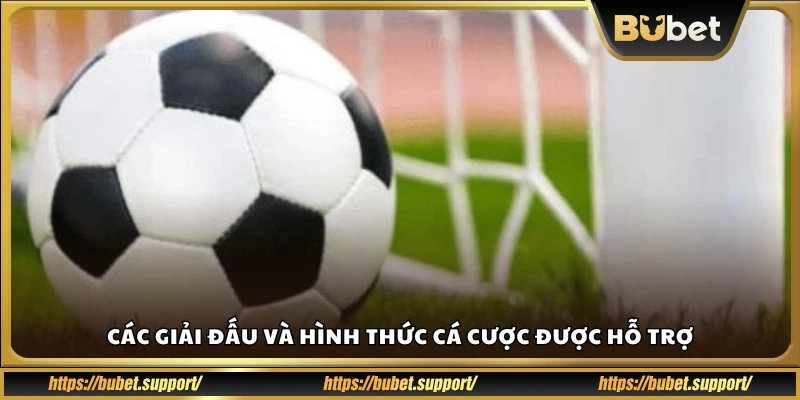 Những giải bóng đá và loại kèo Bubet đang có