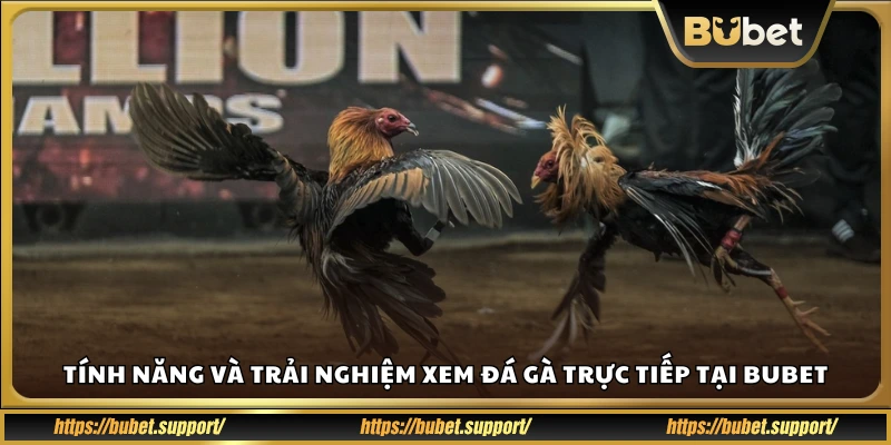 Các tính năng nổi bật và trải nghiệm xem đá gà trực tiếp